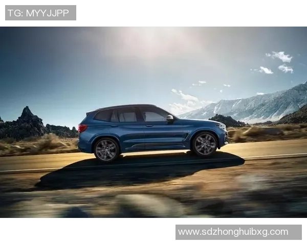 宝马足球的魅力与激情探索运动与豪华的完美结合